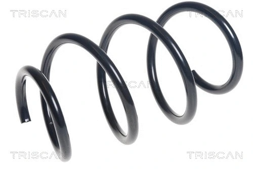 Suspension Spring (8750 23181)