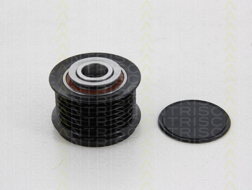 Alternator Freewheel Clutch (8641 134004)