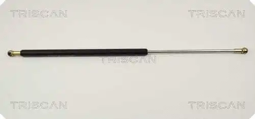 Gas Spring, boot/cargo area (8710 2413)
