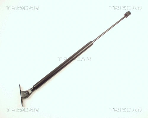 Gas Spring, bonnet (8710 24101)