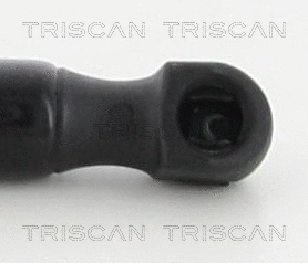 Gas Spring, boot/cargo area (8710 25266)