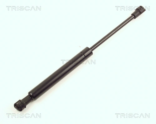 Gas Spring, boot/cargo area (8710 16234)