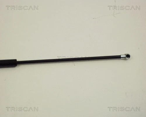 Gas Spring, boot/cargo area