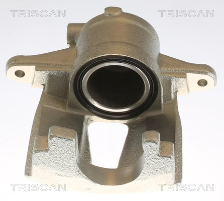 Brake Caliper (8175 10109)
