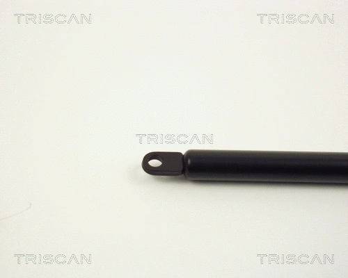 Gas Spring, bonnet