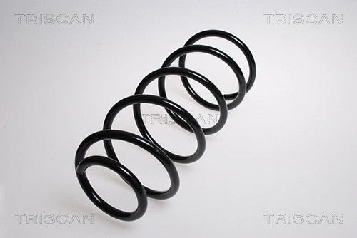 Suspension Spring (8750 28304)
