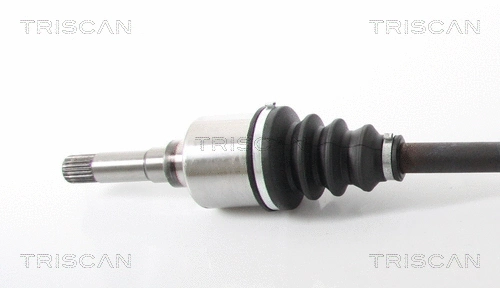 Drive Shaft