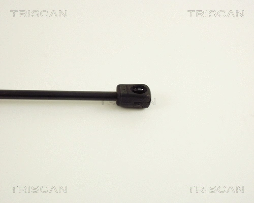 Gas Spring, boot/cargo area