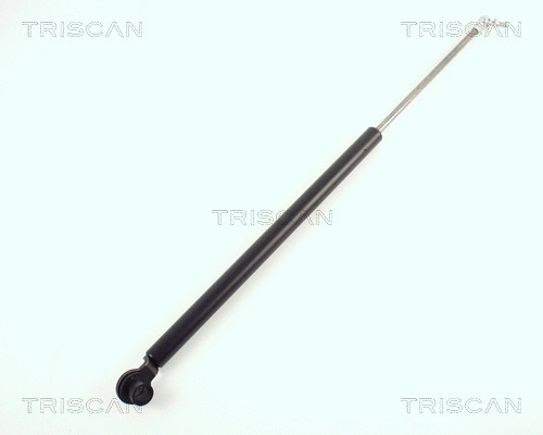 Gas Spring, boot/cargo area (8710 40204)