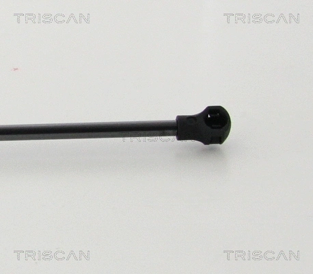 Gas Spring, boot/cargo area