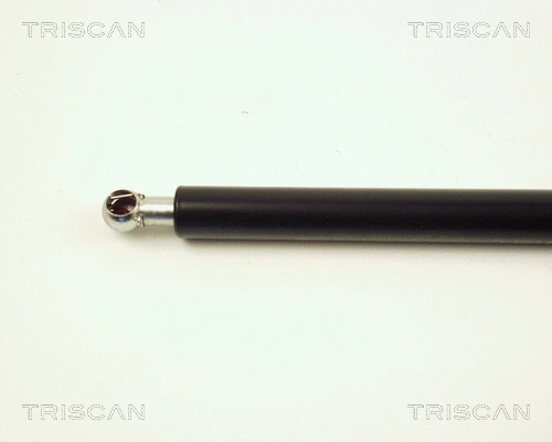 Gas Spring, boot/cargo area