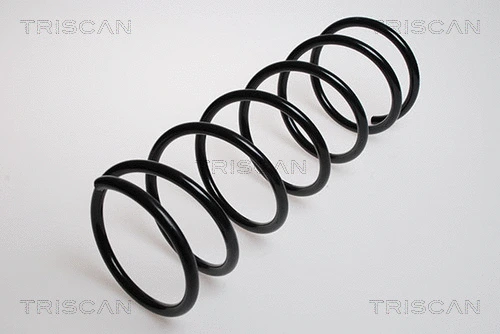 Suspension Spring (8750 28308)