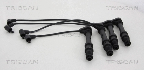 Ignition Cable Kit (8860 4168)