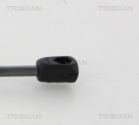 Gas Spring, boot/cargo area