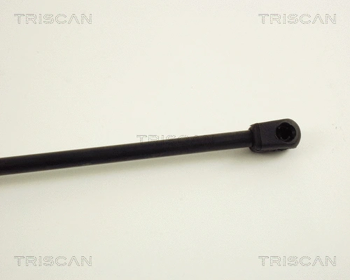Gas Spring, boot/cargo area