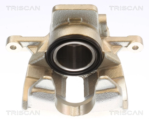Brake Caliper (8175 11112)