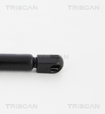 Gas Spring, boot/cargo area