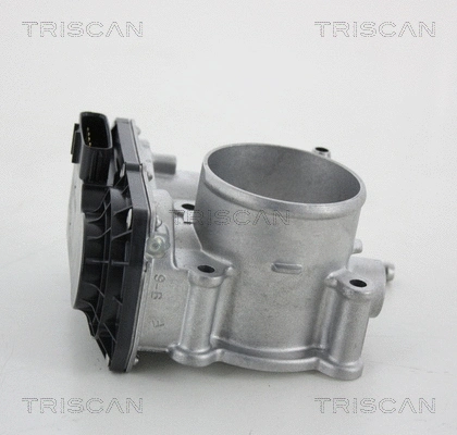 Throttle Body (8820 13005)