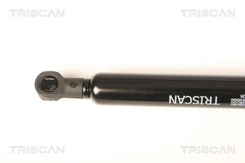 Gas Spring, rear window