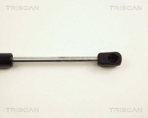 Gas Spring, boot/cargo area