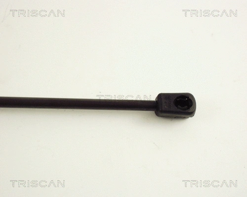 Gas Spring, boot/cargo area