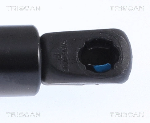 Gas Spring, boot/cargo area
