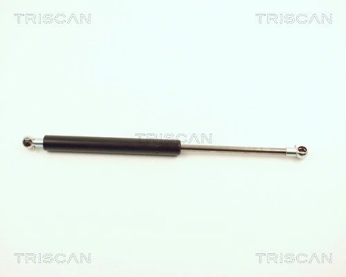 Gas Spring, boot/cargo area (8710 12204)