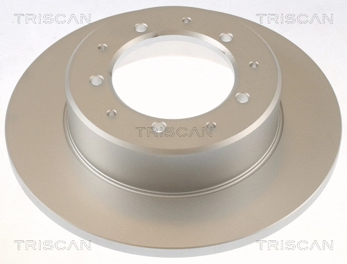 Brake Disc (8120 17113C)