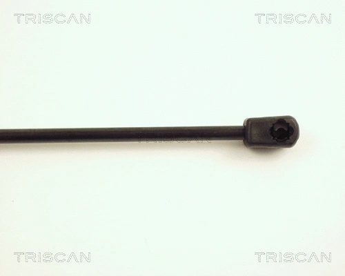 Gas Spring, boot/cargo area