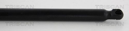 Gas Spring, boot/cargo area (8710 292102)