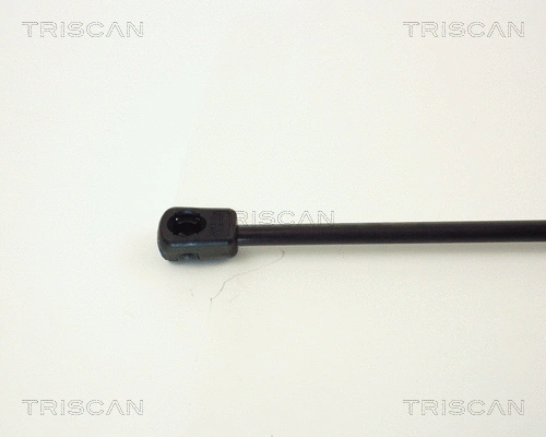 Gas Spring, boot/cargo area