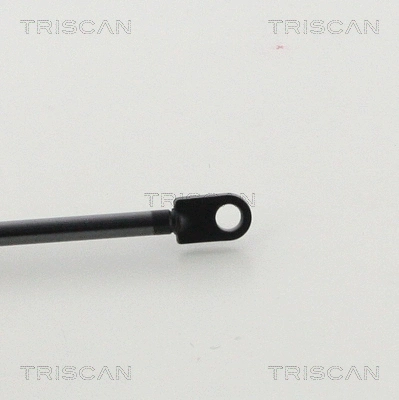 Gas Spring, bonnet