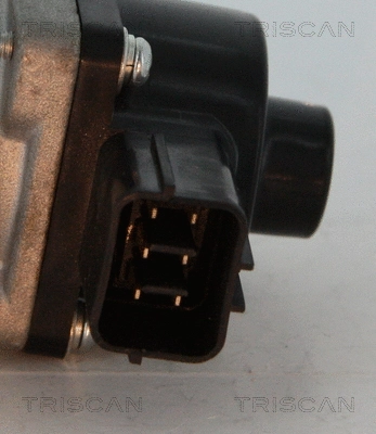 EGR Valve