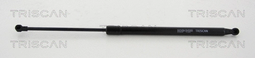 Gas Spring, boot/cargo area (8710 24255)
