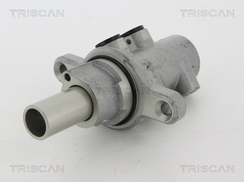 Brake Master Cylinder (8130 16173)