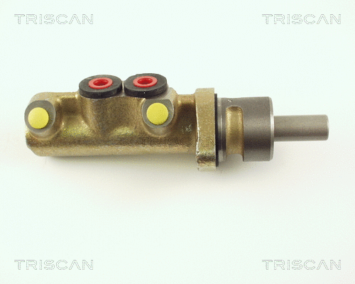 Brake Master Cylinder (8130 28119)