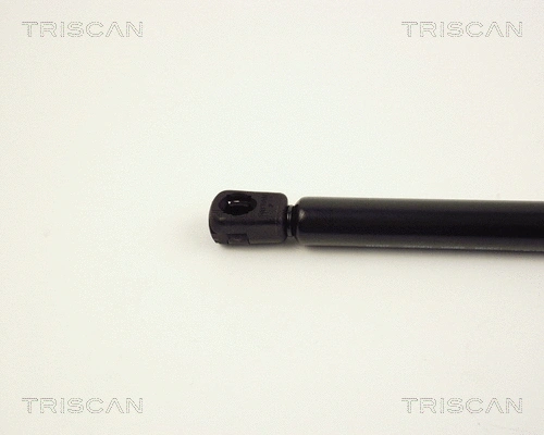 Gas Spring, boot/cargo area