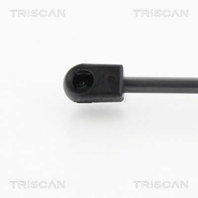 Gas Spring, boot/cargo area