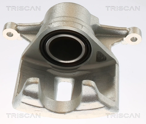 Brake Caliper (8175 13110)