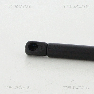 Gas Spring, boot/cargo area