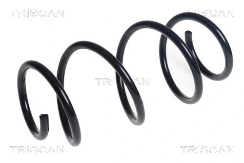 Suspension Spring (8750 29473)