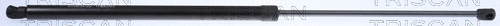 Gas Spring, boot/cargo area (8710 292067)