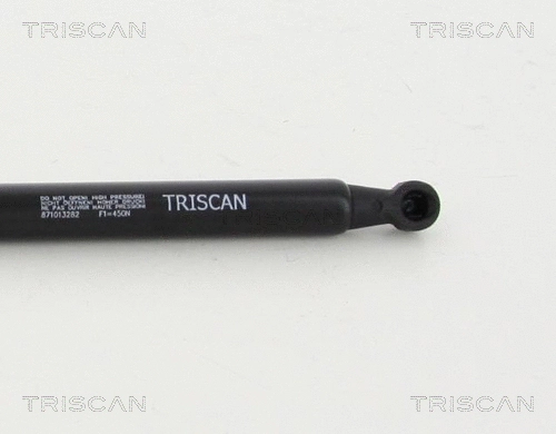 Gas Spring, boot/cargo area