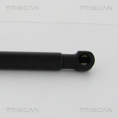 Gas Spring, boot/cargo area