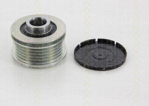 Alternator Freewheel Clutch (8641 144003)