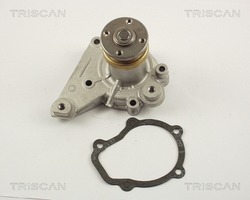 Water Pump, engine cooling (8600 69944)