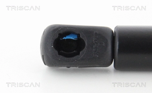 Gas Spring, bonnet