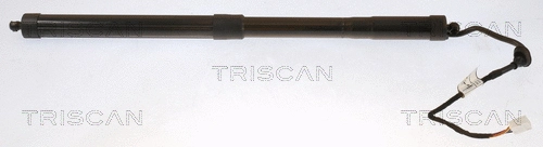 Gas Spring, boot/cargo area (8710 13301)