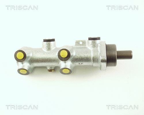 Brake Master Cylinder (8130 25118)