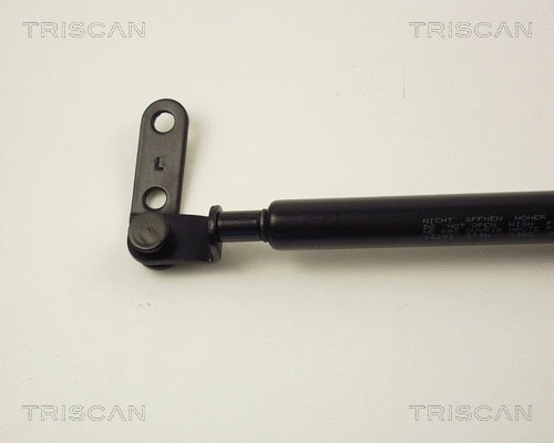 Gas Spring, boot/cargo area
